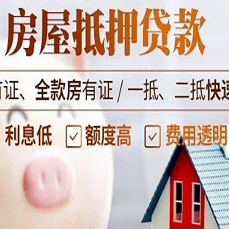 东坡贷款助贷公司新渝启服成立时间久