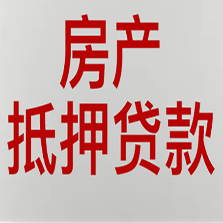 东坡贷款中介公司新渝启服能力强