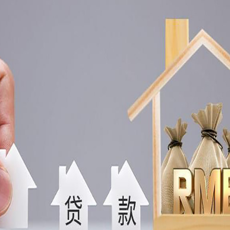 东坡助贷中介公司新渝启服靠谱